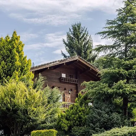 Henri, Ideal Familles Chalet