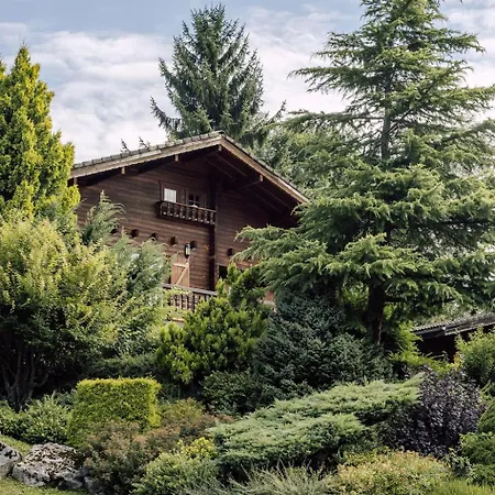 Henri, Ideal Familles Montriond